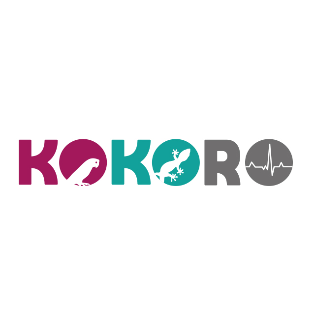 Identidad Visual Kokoro